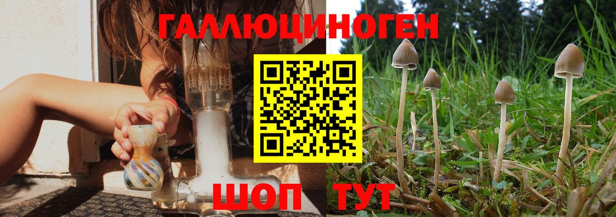 Азнакаево  Галлюциногенные грибы мицелий  Вход с VPN  Галлюциногенные грибы Magic Shrooms 